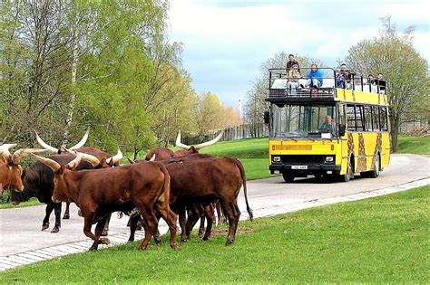 Zoo Dvůr Králové